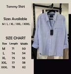 Tommy Hilfiger Shirt