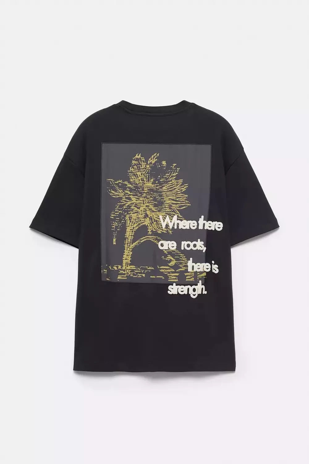 Short Sleeve T-shirt With Graphic