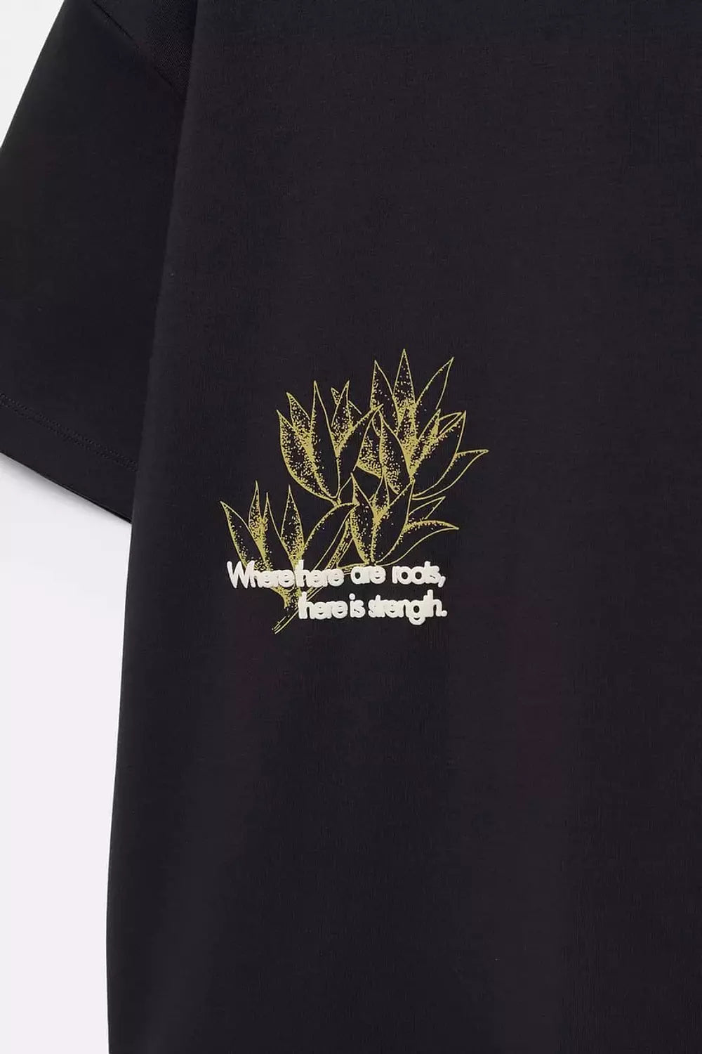 Short Sleeve T-shirt With Graphic